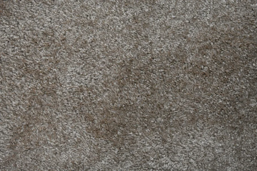 Neutral carpet material texture